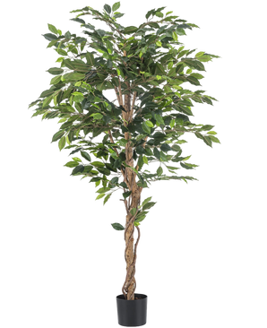 Artificial plant ficus green 180 cm - Easyplants Artificial Plants & Flowers