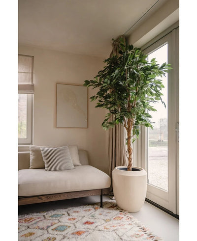 A modern living room with a beige sofa, a cushion with stripes, abstract wall art, a patterned rug, a floor-to-ceiling window with transparent curtains that let in natural light and an Artificial Plant Ficus Green 210 cm.