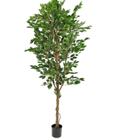 Artificial Plant Ficus Green 240 cm - Easyplants Artificial Plants & Flowers