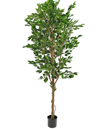 Artificial Plant Ficus Green 240 cm - Easyplants Artificial Plants & Flowers
