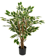 Kunstplant Ficus Groen/wit 90 cm