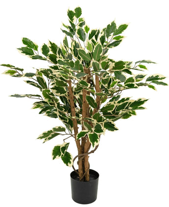 Kunstplant Ficus Groen/wit 90 cm