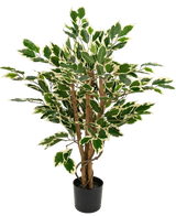 Artificial Plant Ficus Green/White 90 cm - Easyplants Artificial Plants & Flowers
