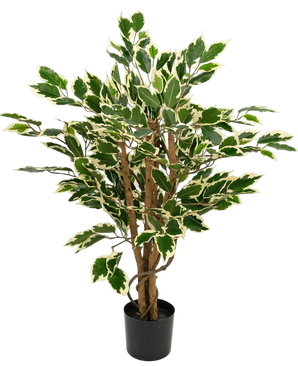 Artificial Plant Ficus Green/White 90 cm - Easyplants Artificial Plants & Flowers