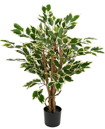Artificial Plant Ficus Green/White 90 cm - Easyplants Artificial Plants & Flowers
