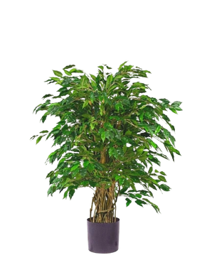 Artificial plant ficus Liana 90 cm - Easyplants Artificial Plants & Flowers