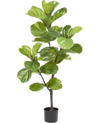Artificial plant ficus Tabakplant Deluxe 125 cm - Easyplants Artificial Plants & Flowers