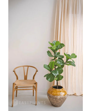 Kunstplant Ficus Tabaksplant Deluxe 125 cm