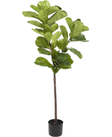 Artificial Plant Ficus Tabakplant Deluxe 155 cm - Easyplants Artificial Plants & Flowers