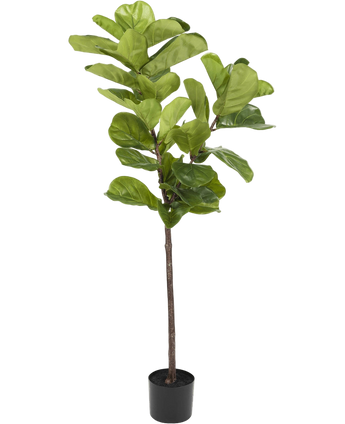 Artificial Plant Ficus Tabakplant Deluxe 155 cm - Easyplants Artificial Plants & Flowers