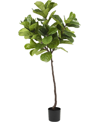 Artificial plant ficus Tabakplant Deluxe 180 cm - Easyplants Artificial Plants & Flowers