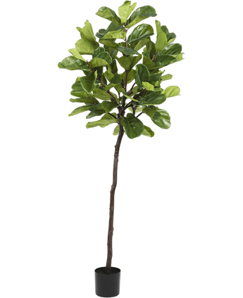 Artificial plant Ficus Tabakplant Deluxe 215 cm - Easyplants Artificial Plants & Flowers