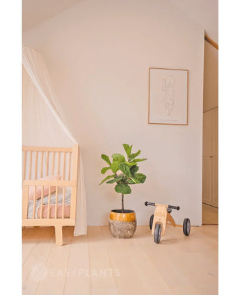 A minimal nursery with a light wooden bedstead, a translucent canopy, Artificial Plant Ficus Tobacco Plant Deluxe 90 cm, wooden toys labeled Mia and a minimalist line art framed print on a plain white wall.