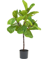 Artificial plant Ficus Tabakplant Deluxe 90 cm - Easyplants Artificial Plants & Flowers