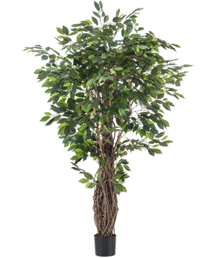 Artificial plant ficus tropical liana 180 cm