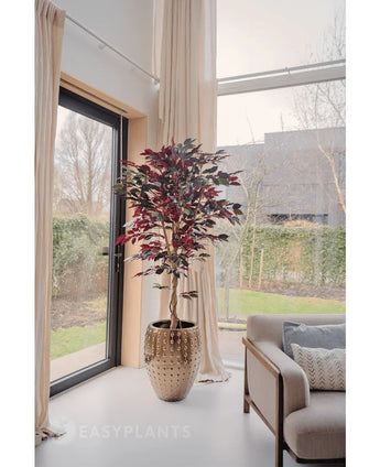 An Artificial Ficus green/red plant 180 cm fire retardant with dark green and red leaves stands near a large window with cream-colored curtains in a bright, modern living room next to a beige sofa with patterned cushions. Trees and a house are visible outside.