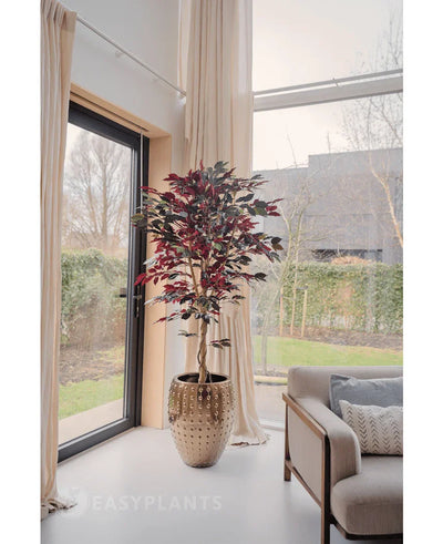 Een Kunstplant Ficus groen/rood 180 cm brandvertragend met donkergroene en rode bladeren staat bij een groot raam met crèmekleurige gordijnen in een lichte, moderne woonkamer naast een beige bank met gedessineerde kussens. Buiten zijn bomen en een huis zichtbaar.