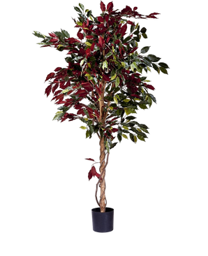 Artificial plant ficus green/red 180 cm fire retardant - Easyplants Artificial Plants & Flowers