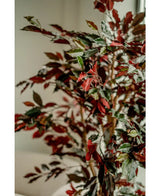 Kunstplant Ficus groen/rood 180 cm brandvertragend