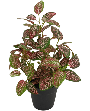 Artificial plant Fittonia red in pot 25cm