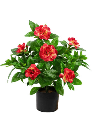 Artificial Plant Gardenia 39 cm Fuchsia