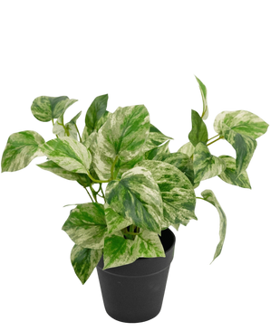 Artificial plant golden vine in pot 25 cm