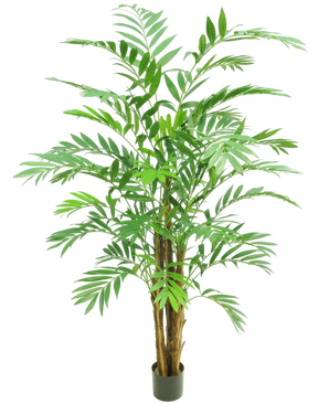 Artificial plant Hawaii Parlour 180 cm