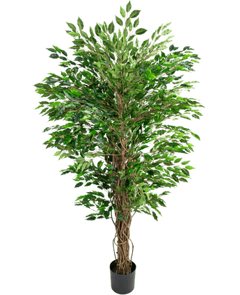 Artificial plant Hawaiian Ficus Liana 150 cm - Easyplants Artificial Plants & Flowers