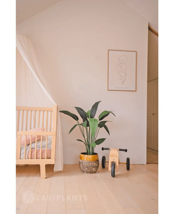 A minimal nursery with a light wooden crib, Artificial Heliconia plant 110 cm, wooden toys and simple wall art in a bright, tidy room - perfect inspiration for small space decor.