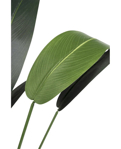 Close-up of Artificial Heliconia plant 110 cm with two large green leaves and prominent veins on slender stems, perfect for small space furnishings or as a stylish artificial bathroom plant, shown against a plain white background.