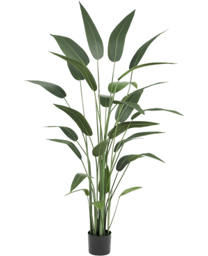Artificial plant heliconia 180 cm