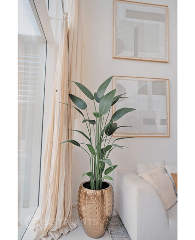 De Kunstplant Heliconia 180 cm in een goudkleurige plantenbak staat bij een raam met transparante gordijnen, naast een witte bank. Twee abstracte kunstwerken hangen erboven - perfect voor wie een kunstplant wil kopen.