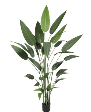 Artificial plant heliconia 210 cm