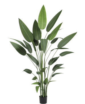 Artificial plant heliconia 210 cm