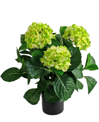 Artificial Hydrangea 43 cm green - Easyplants Artificial Plants & Flowers