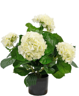 Artificial Plant Hydrangea 43 cm White - Easyplants Artificial Plants & Flowers
