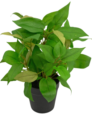 Artificial plant "House Wanderer" in Pot 35cm - Easyplants Artificial Plants & Flowers
