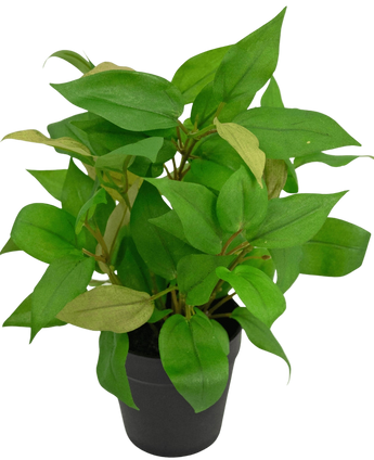 Artificial plant "House Wanderer" in Pot 35cm - Easyplants Artificial Plants & Flowers