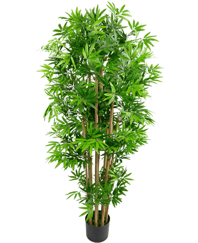 De Kunstplant Japanse Bamboe 150 cm is een hoge kunstbamboe met meerdere bruine stengels en weelderige groene bladeren, in een compacte zwarte pot, tegen een effen witte achtergrond.