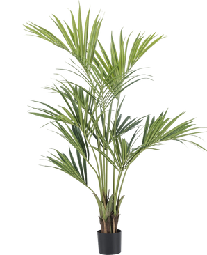 Artificial plant Kentia Palm 150 cm