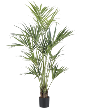 Artificial plant Kentia Palm 180 cm