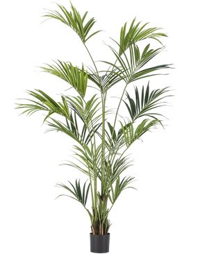 Artificial plant Kentia Palm 210 cm
