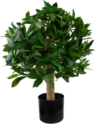 Artificial plant bay leaf D40 cm UV - Easyplants Artificial Plants & Flowers
