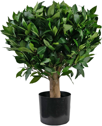 Artificial plant bay leaf D65 cm UV - Easyplants Artificial Plants & Flowers
