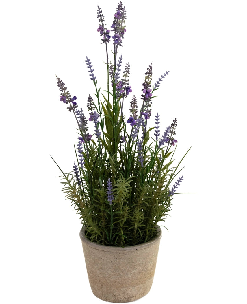 The Artificial Lavender 51 cm in decorative pot has long green stems and small purple flowers in a light-colored pot, against a white background.