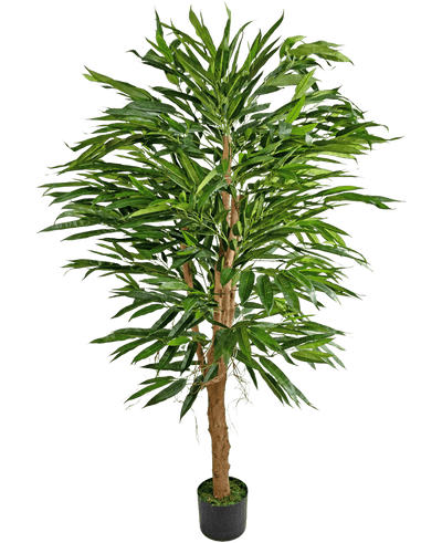 De Kunstplant Longfolia 150 cm is een hoge kunstbamboe met meerdere bruine stengels en lange, smalle groene bladeren, weergegeven in een kleine zwarte pot tegen een effen witte achtergrond.