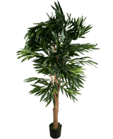 Artificial plant lungfolia 180 cm - Easyplants Artificial Plants & Flowers