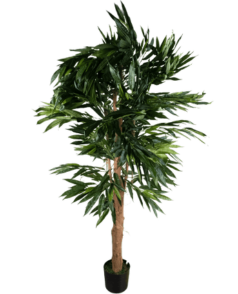 Artificial plant lungfolia 180 cm - Easyplants Artificial Plants & Flowers