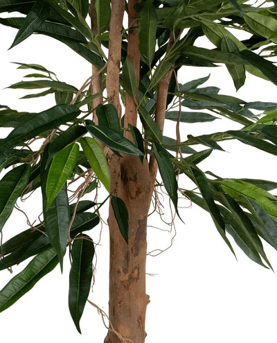 Een close-up van de Kunstplant Longfolia 180 cm toont de boomstam met lange, smalle groene bladeren en dunne, kronkelende lianen tegen een witte achtergrond.