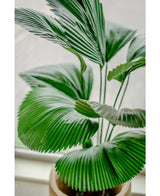 Kunstplant Lucuala Grandis 120 cm
